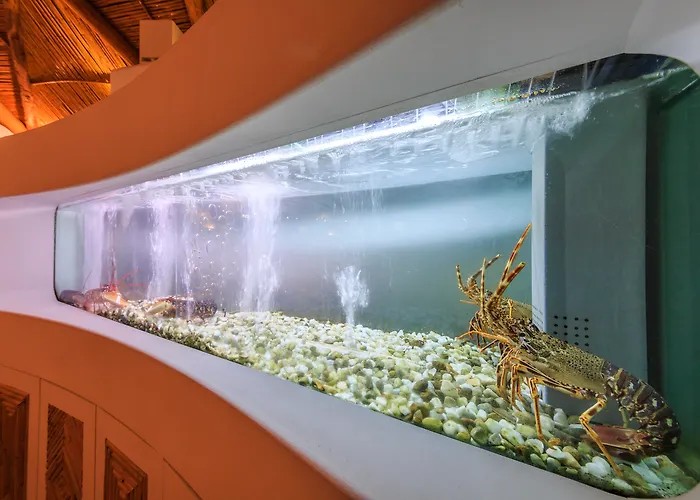 Holiday park Encosta Do Club