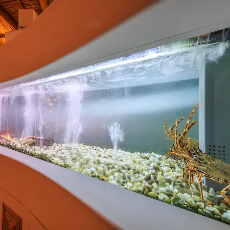 Parque de vacaciones Encosta Do Club