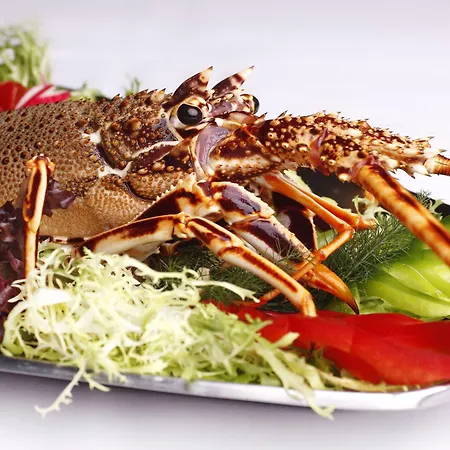 Encosta Do Club Holiday park